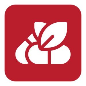 باقة الفيتامينات 2